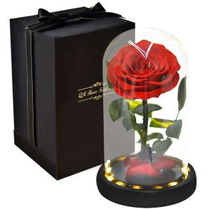 Preserved Rose Real Rose in Glass Dome With lights