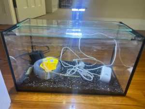 Glass Fish Tank