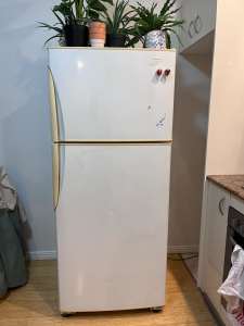 410L Westinghouse fridge freezer