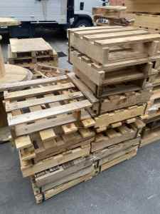 Pallets FREE various sizes