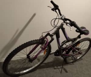 * SALE Purple beautiful mountain bike Gift