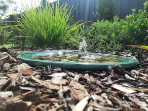 Brand New - Solar Powered Water Features - Multiple Varieties 