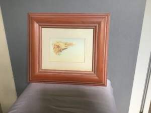 Solid Wood Photo/Picture Frame.