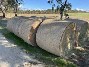 Lurcerne Hay for Sale