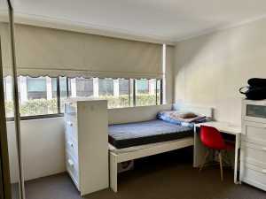 Share Room in Sydney CBD