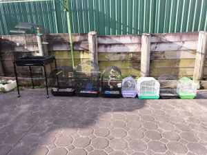 Small And Large Complete Bird Cages - New - From $20
