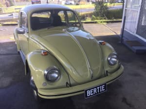 Vintage beetle
