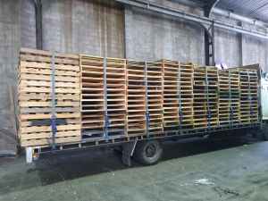 Wanted: WE PAY FOR 1165x1165mm Australian Standard pallets - MELBOURNE