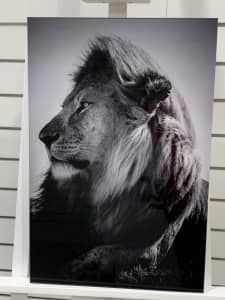 Artwork “Lion Portrait I” by Gabi Guiard