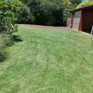 Lawn mowing, Weed removal, Hedging, Edging and all gardening services