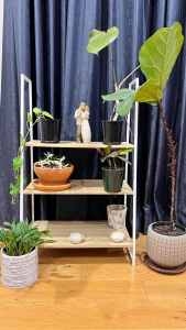 Wooden tiered multipurpose shelf - perfect for plants, books, decor