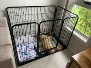 Puppy Playpen 48 XXL 4 Panel Litter Whelping Pen Pet Dog Crate Cage