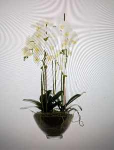 Florabelle Phal Orchard in glass bowl 85cm (2 available - price ea)