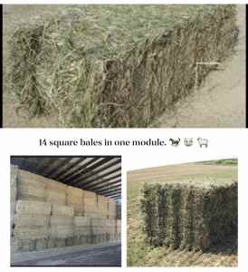 Square hay bale multi packs (14 bales) for sale.