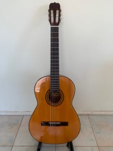 Suzuki Classical Guitar