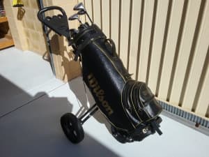 Prossimmon Golf clubs
