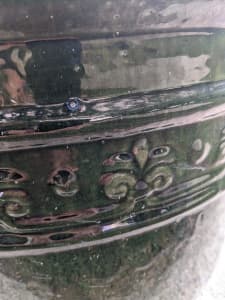 Two Tall Decorative Green Glazed Pot with Established Shrubs