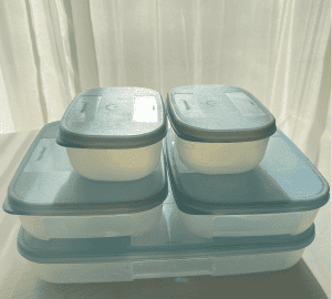Tupperware Freezer Mates (Set of 5)