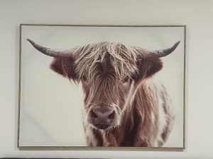 Artwork - Cow canvas frame & Adairs native canvas