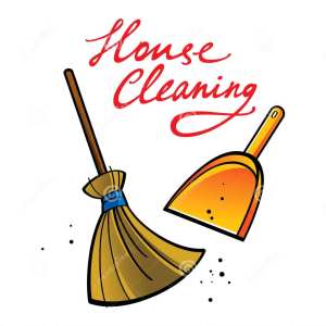 Household cleaning and car detailing 