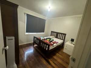 room on rent in cranbourne
