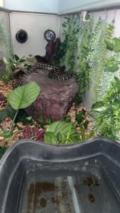 8 ft snake enclosure 