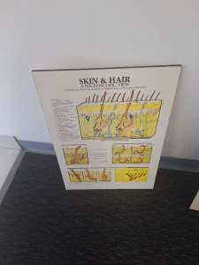 Posters aromatherapy, reflexology, skin and hair. On boards ready to h