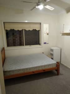 Room for rent in Manly $240pw