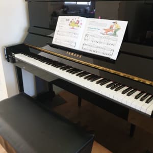 Piano lessons in Moonee Ponds/Online
