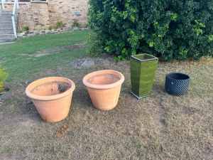 Free Plant pots