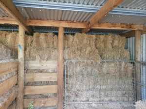 Small square hay bales- new season