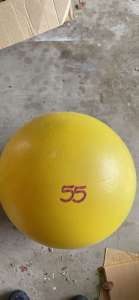 Exercise Ball 55 cm