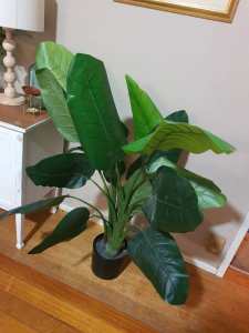 Large Fake Faux Plant as new