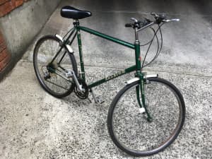 Vintage Raleigh Trek Mountain Bike (MTB)