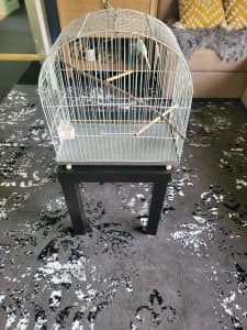 The bird cage 