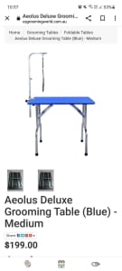 Portable grooming table, large