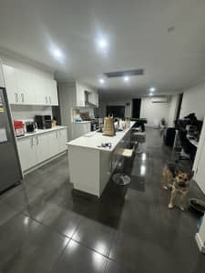 1 room for rent in point cook 