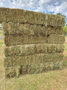 Lucerne Hay small bales grassy