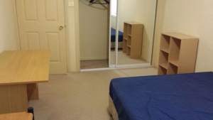 Room for Rent in Punchbowl $220
