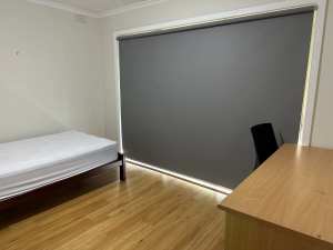 Great single room near Bundoora Square $230 p.w include all bill