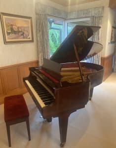 Schimmel Grand Piano - Model 174 - Rare and Elegant