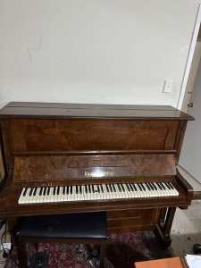 Organ for sale