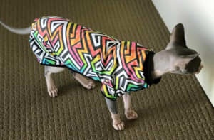 SPHYNX CAT CLOTHING - ROMPERS