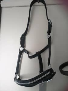 Horse Gear for sale.. Leather bling halter &lead brand new