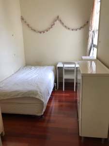 Bondi Junction Room available for rent