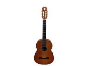 Admira Nylon String Acoustic Guitar W/Fishamn Classic Malaga-E Brown