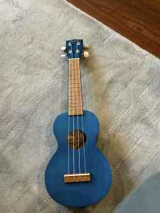 Lovely coloured ukulele suitable for beginner