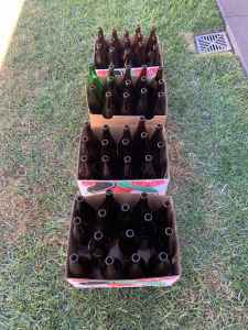 Beer bottles for tomato sauce (x58)