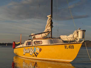 RL24 Trailer Sailer Bumblbee : Well-Maintained and ready for adventure