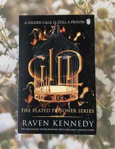 YA the plated prisoner book